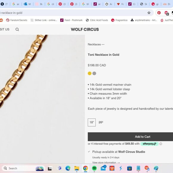 Wolf Circus Toni Necklace in Gold Vermeil Mariner Chain - Picture 2 of 6